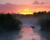 Everglades nationalpark