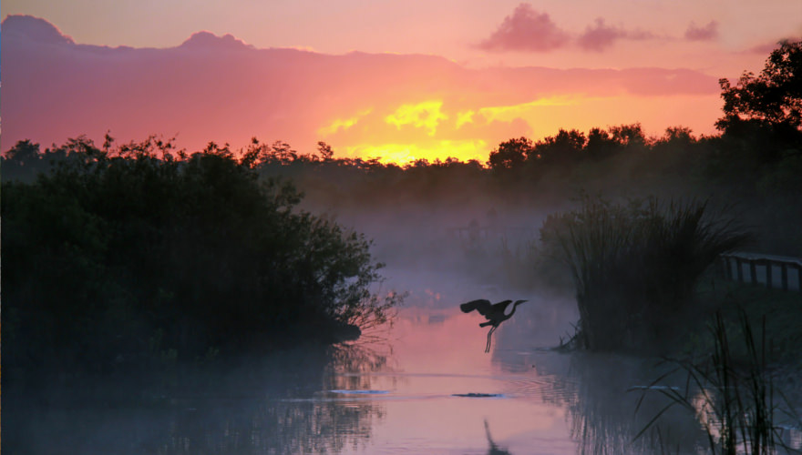 Everglades nationalpark