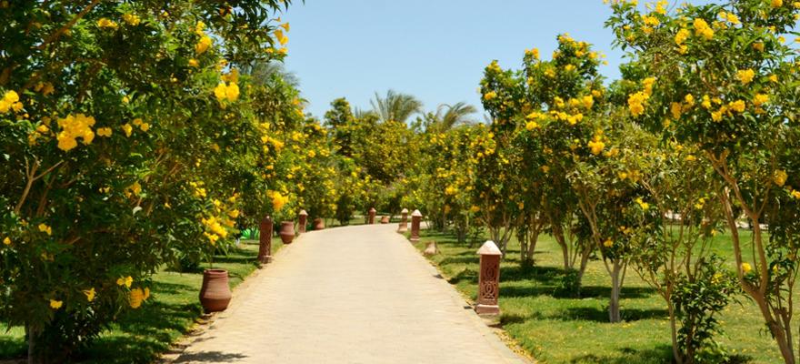Makadi Bay Urlaub