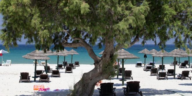 Kos, die Perle der Ägäis – unsere Reisetipps