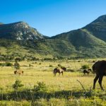 nationalpark paklenica in kroatien