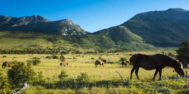 Auf in die Wildnis: Die schönsten Nationalparks in Kroatien