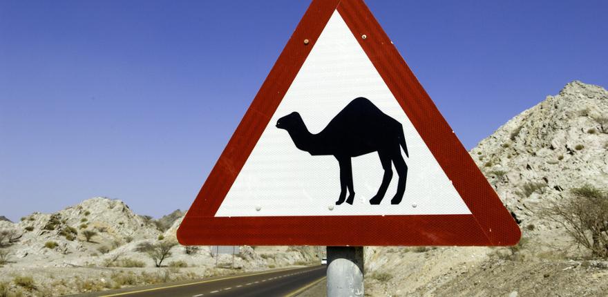Warnschild Kamele RAK