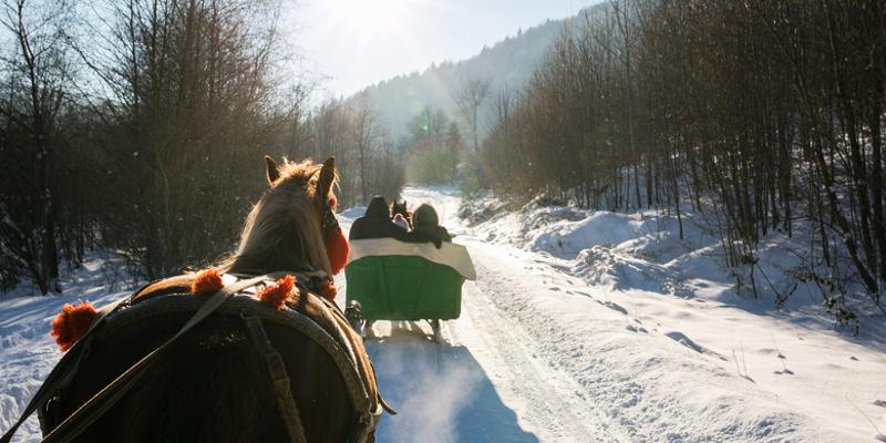 Pferdeschlittenfahrt im Allgäu