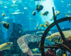 Aquarium Dubai