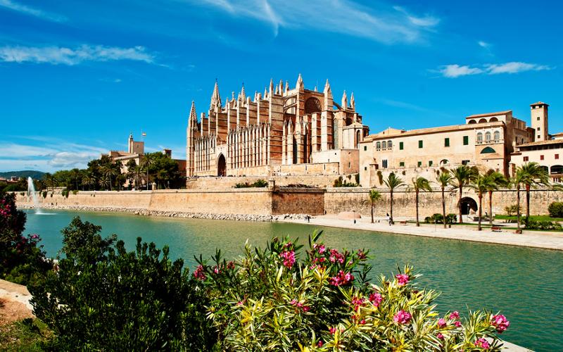 la seu in Palma de mallorca