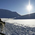 Fahrt mit dem Hundeschlitten in Norwegen
