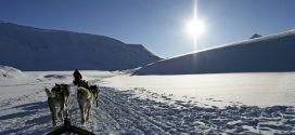 Winterurlaub mit Hund: Die schönsten Regionen und alles, was ihr wissen solltet