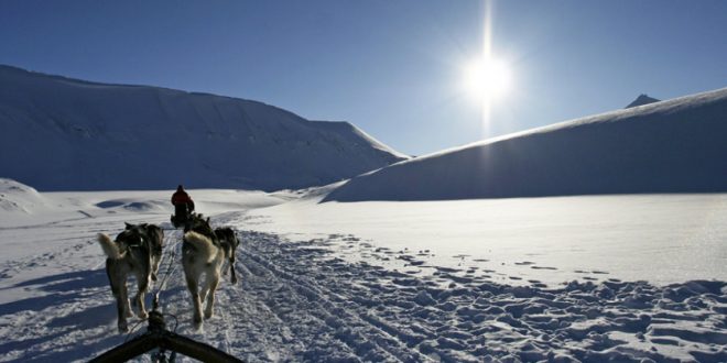 Winterurlaub mit Hund: Die schönsten Regionen und alles, was ihr wissen solltet