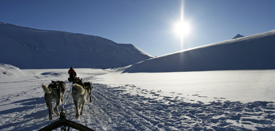 Fahrt mit dem Hundeschlitten in Norwegen