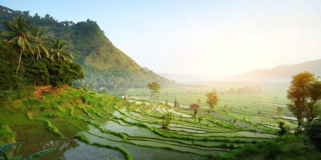 Indonesien Urlaubsguide – Reisetipps rund um den abwechslungsreichen Inselstaat