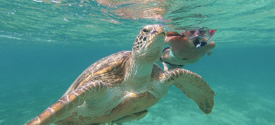 Schnorcheln marsa alam