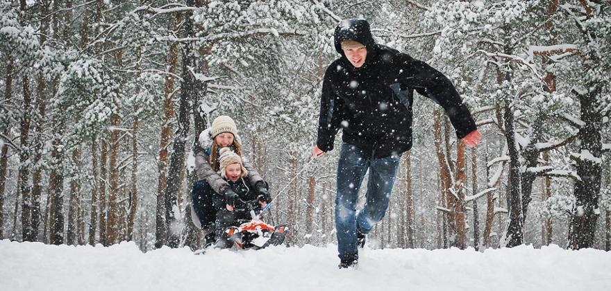Schlittenfahren im Harz