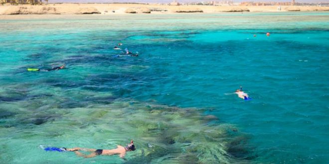 Schnorchelurlaub in Marsa Alam: Erfahrungen & Reisetipps