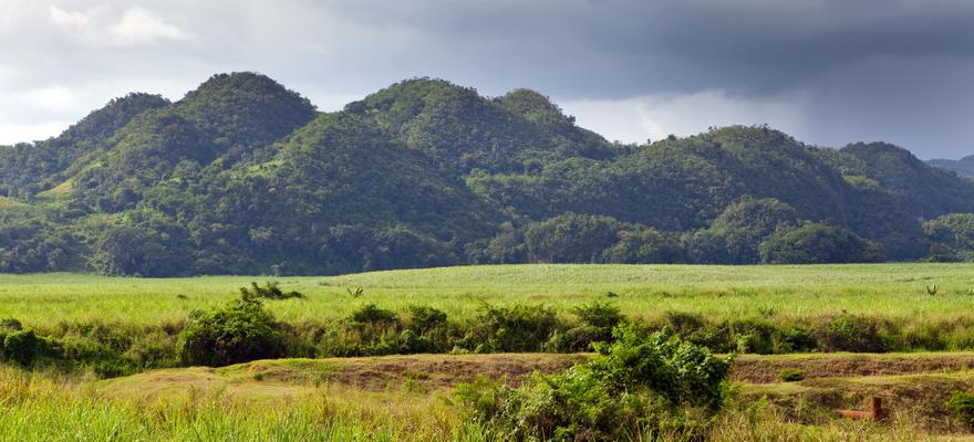Hügel Regenwald Jamaika