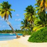 Palmen am Strand von Jamaika