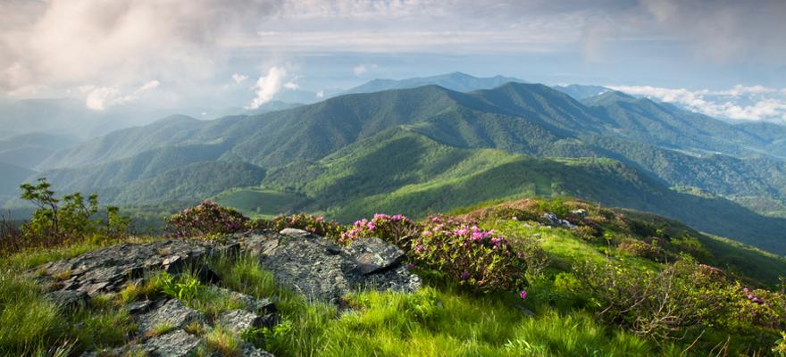 North Carolina 