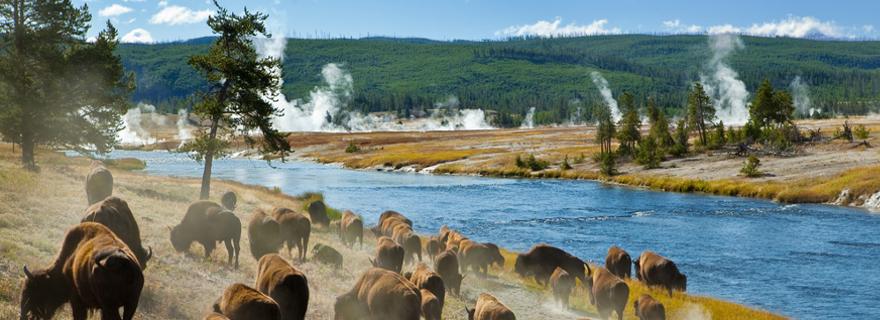 Einzigartige Natur und Megametropolen: USA Reisetipps