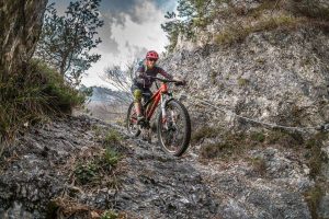 FreerideInc