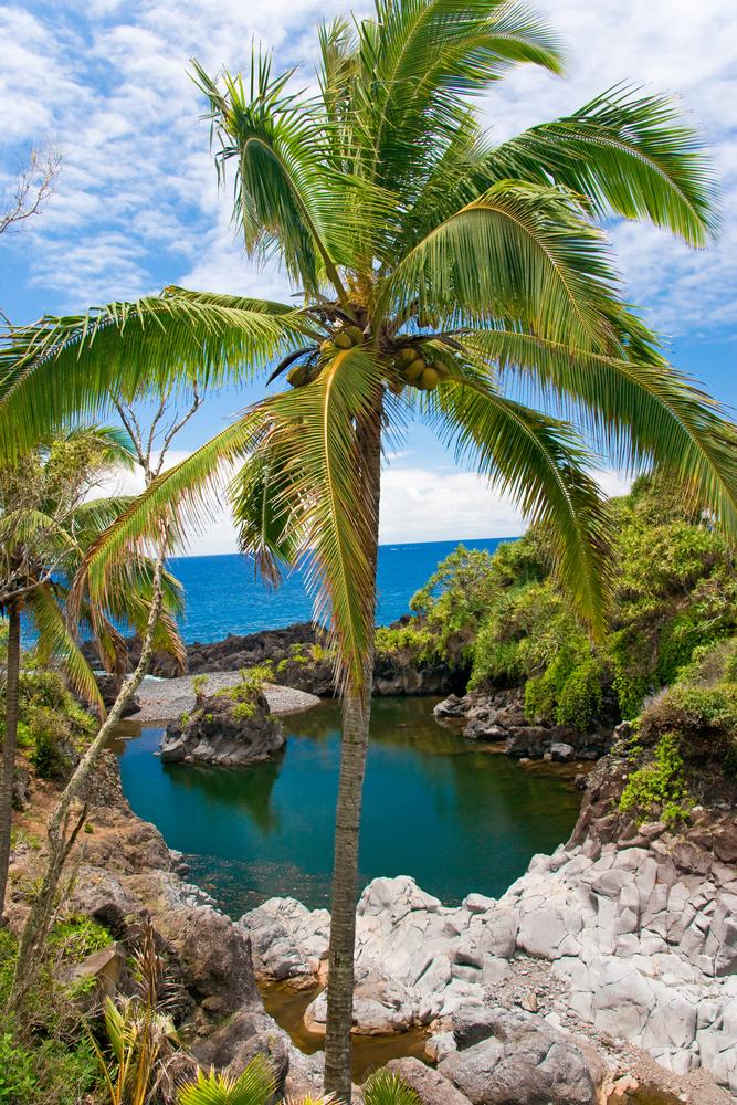 insel-maui-hawaii