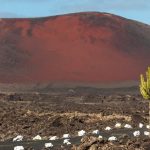 Roter Berg auf Lanzarote in Spanien