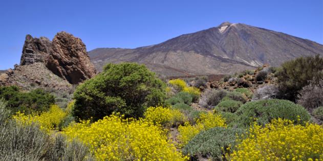 Unser Tipp für Wanderurlaub: Tenerife Walking Festival 2020