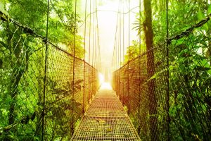 haengebruecke-costa-rica