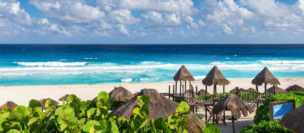 playa delfines in mexiko