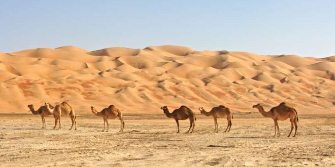 Abu Dhabi – Die 6 besten Ausflüge