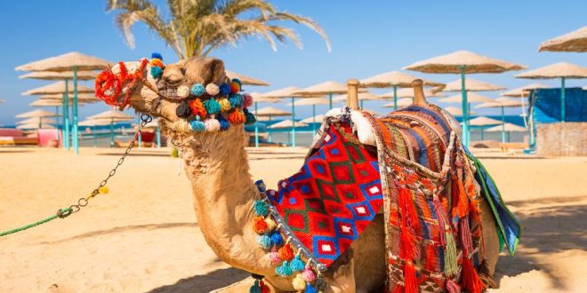 Ägypten: Die schönsten Ausflüge, die ihr nicht verpassen solltet