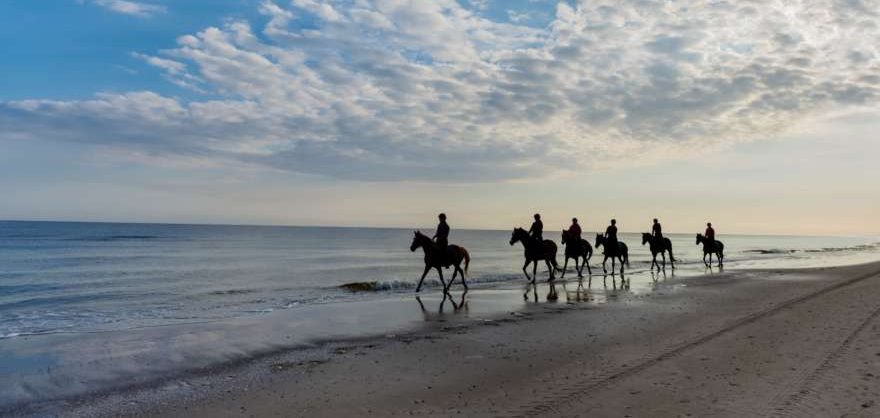 ostsee-reiter-an-kueste
