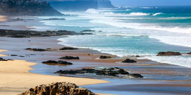 Reisetipps für Fuerteventura – die Trauminsel im Atlantik