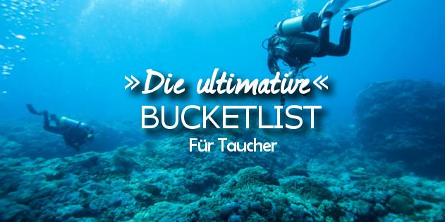 Die ultimative Bucketlist für Taucher