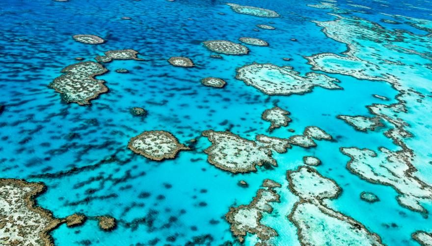 Great Barrier Reef in Australien