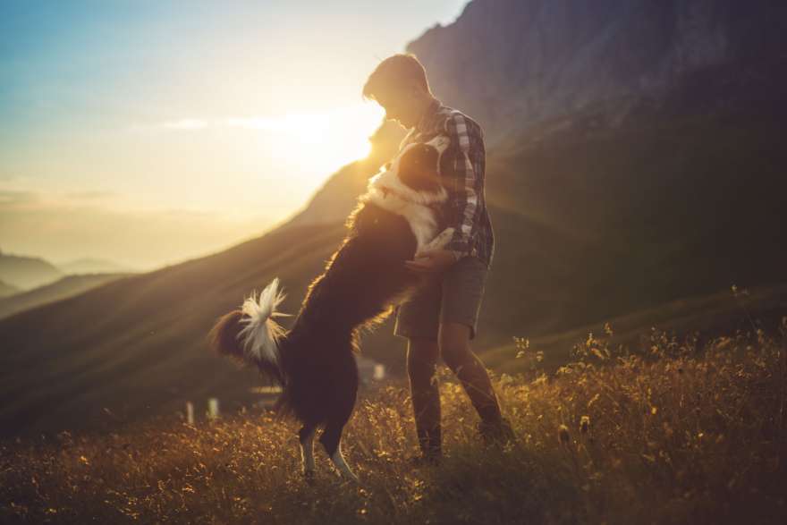 Junge spielt mit Hund bei Sonnenuntergang
