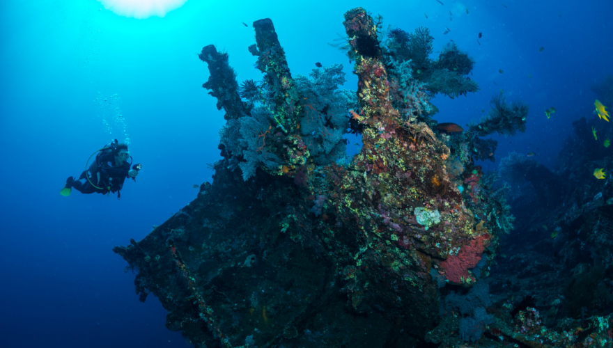Liberty Wrack Tulamben Bali