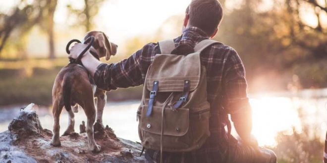 Urlaub mit Hund: Reisetipps für Bayern