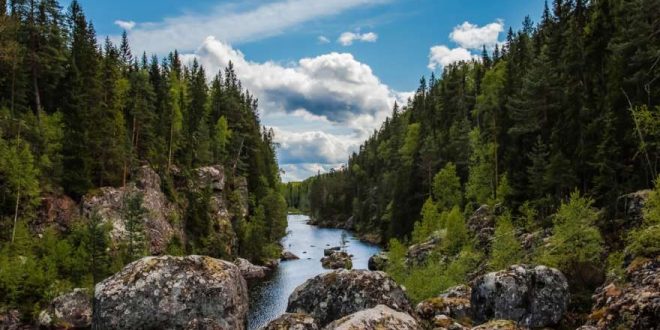 Seen, Wälder und endlose Landschaften: Reisetipps für Schweden