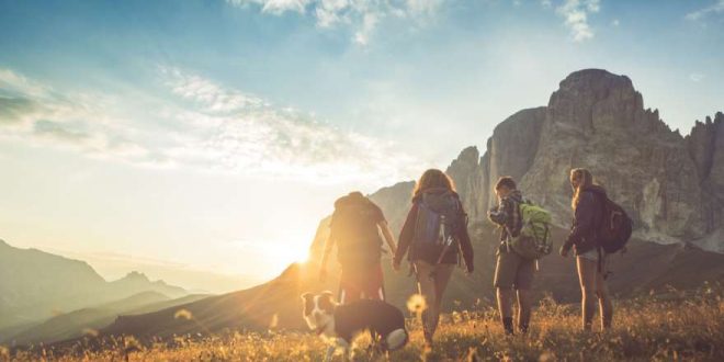 Wanderurlaub mit Hund: Die schönsten Regionen und alles, was ihr wissen solltet