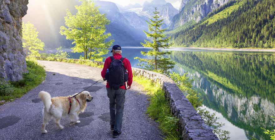 Wanderer mit Hund im Dachsteingebirge in Österreich