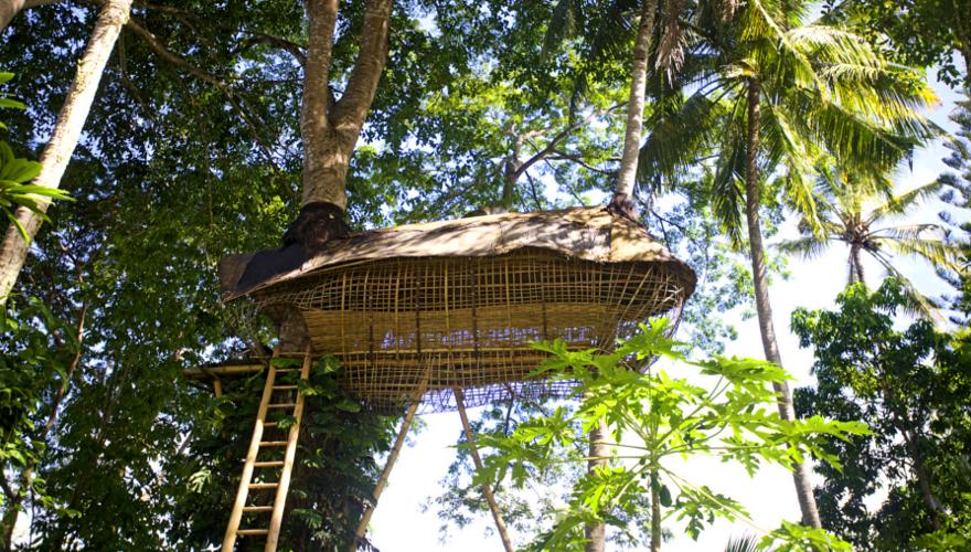 Baumhaus in Bali
