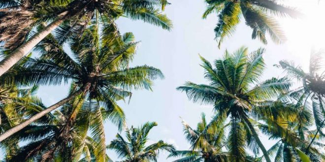 Ab in die Ferne – Bloggerin Janas Tipps für eure erste Fernreise