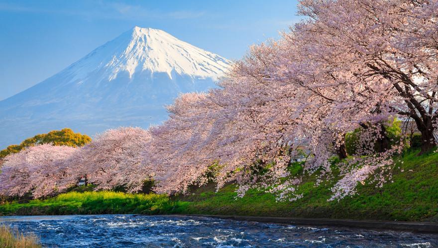 Der Mount Fiji in den japanischen Alpen.