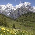 Berner Oberland in der Schweiz