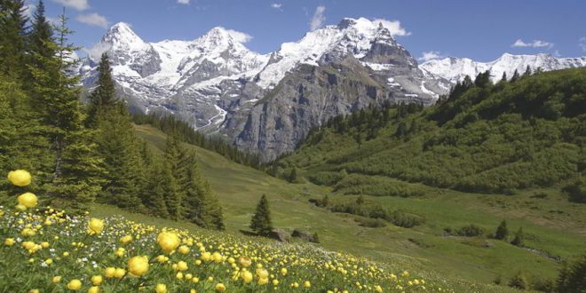 Das Schöne liegt so nah: Reisetipps für die Schweiz