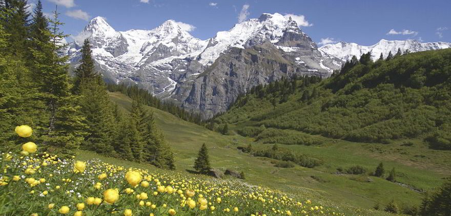 Berner Oberland in der Schweiz