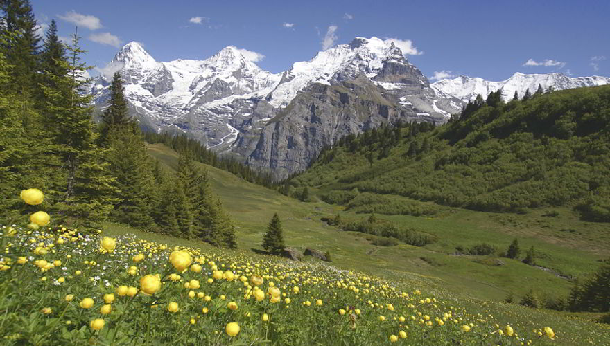 Berner Oberland in der Schweiz