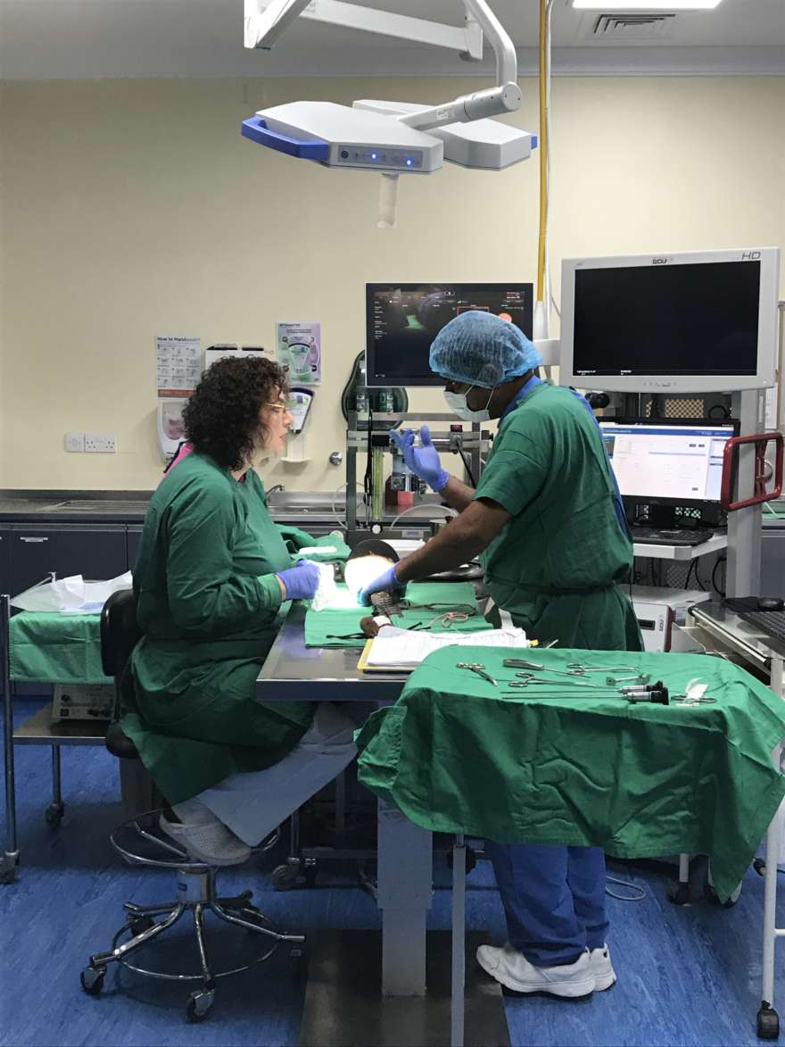 Operation-Falkenhospital