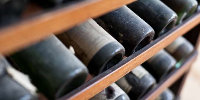 Weinreisen: Die schönsten Ziele