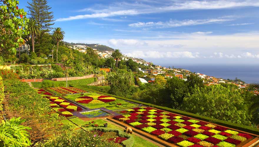 Die Blumeninsel Madeira